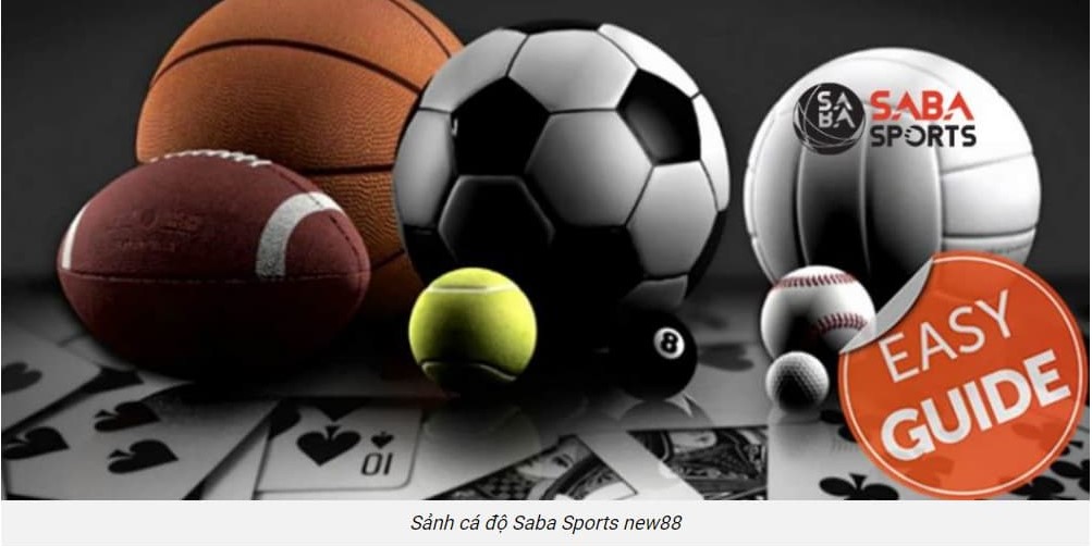 Sảnh Saba Sports được nhiều anh em tin tưởng